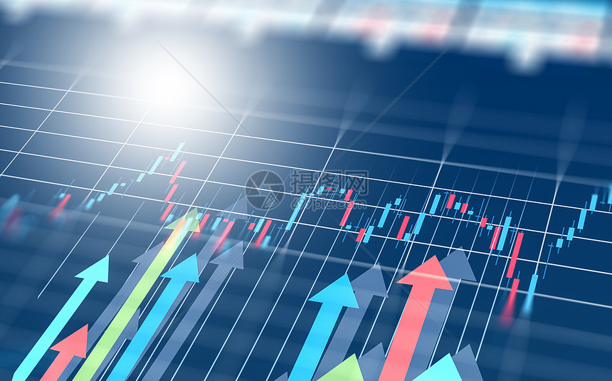 广东出台保护鸟类工作方案 提出全面加强鸟类迁飞通道保护等六大任务